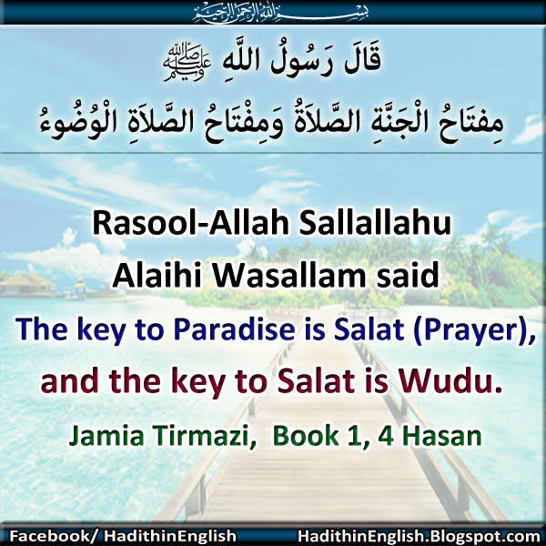 how to pray namaz ahle hadees how to pray namaz ahle hadees