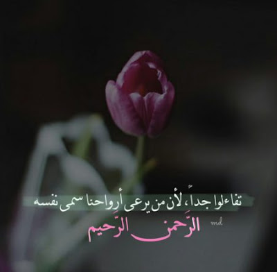 تنزيل صور شخصية للواتس اب تنزيل صور شخصية للواتس اب