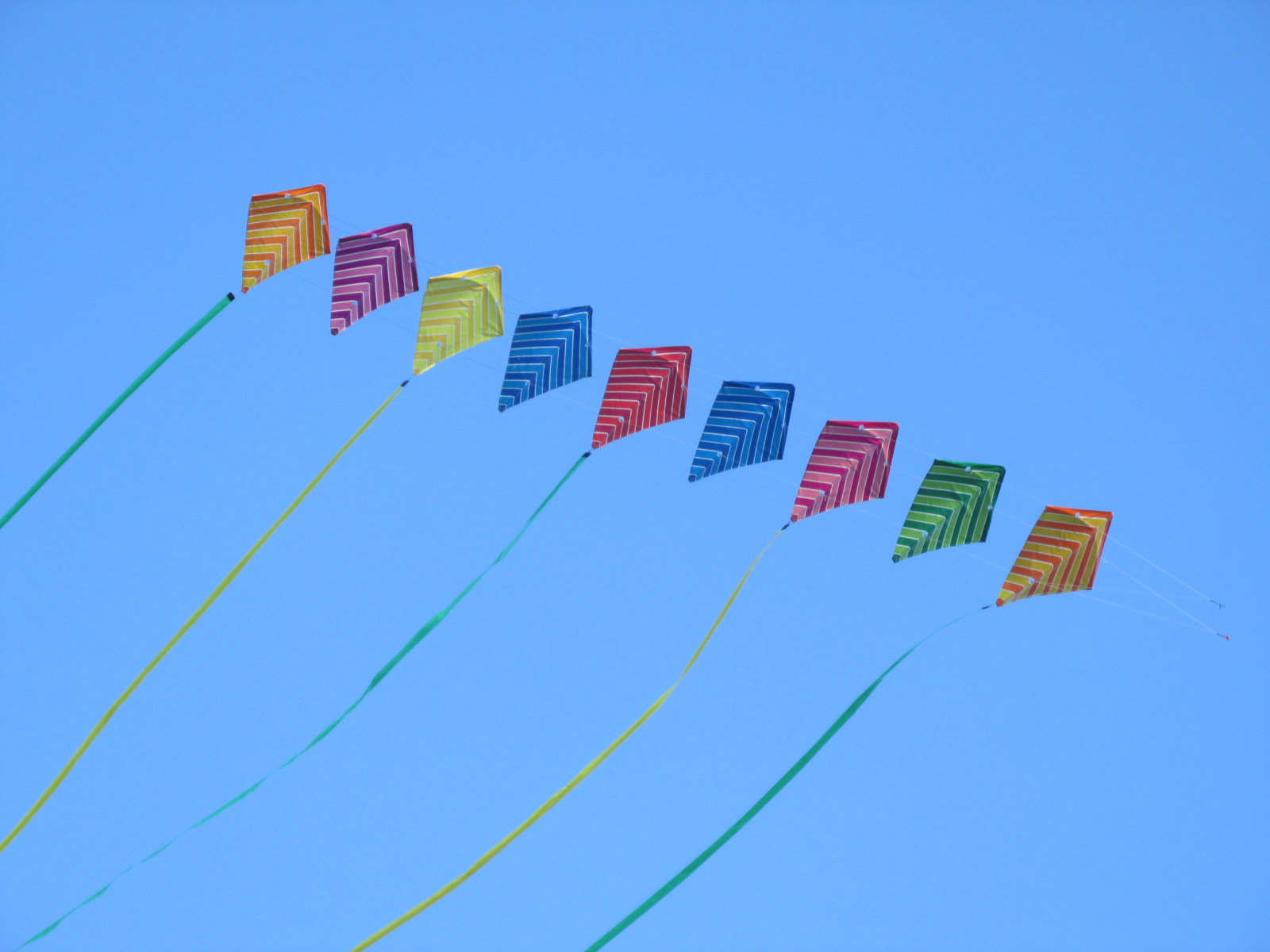 Flying Fish Kiting Team 9 Trlbys and 9 Aces