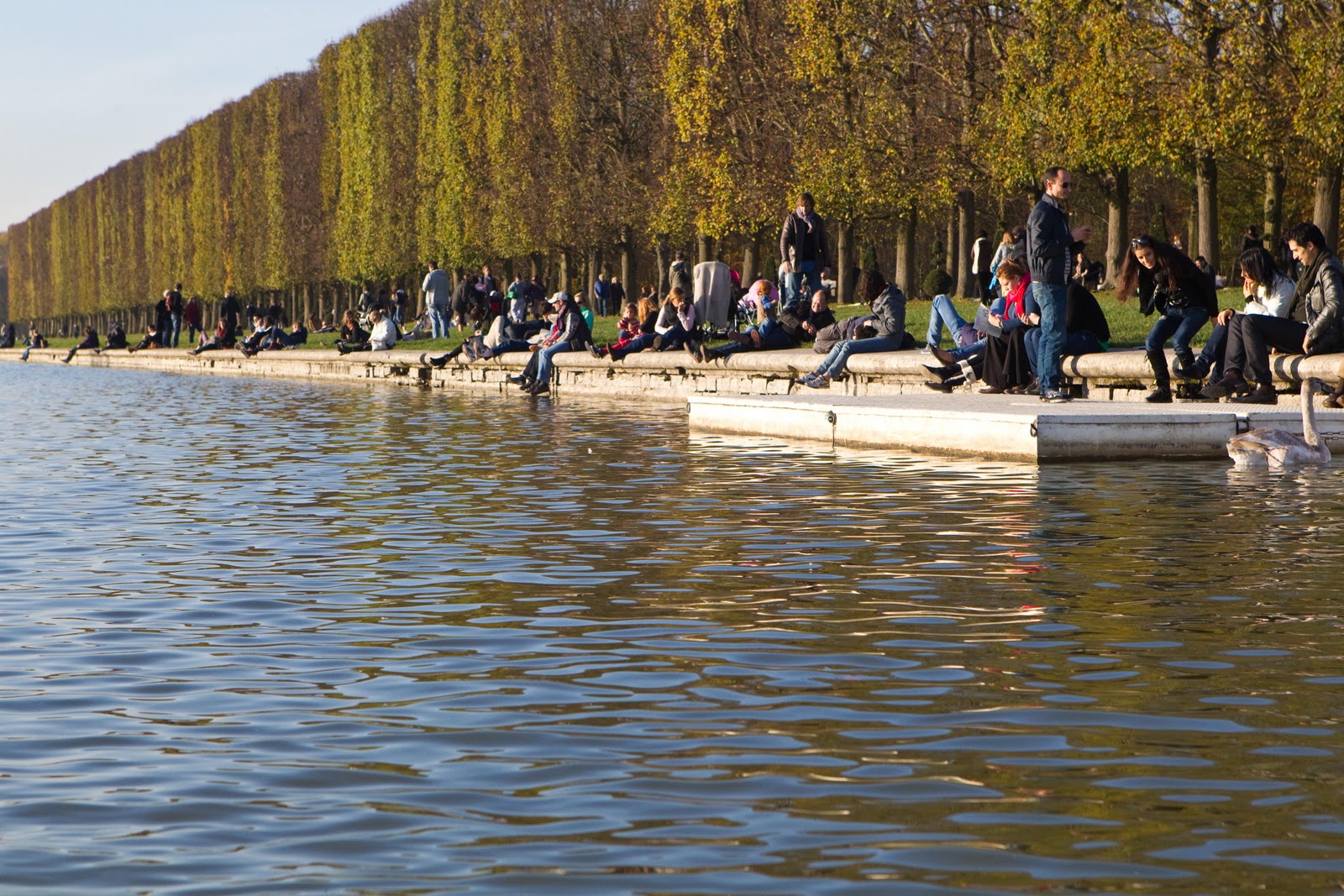 Life of a Lil Notti Monkey My 1st Rowing experience at Garden of