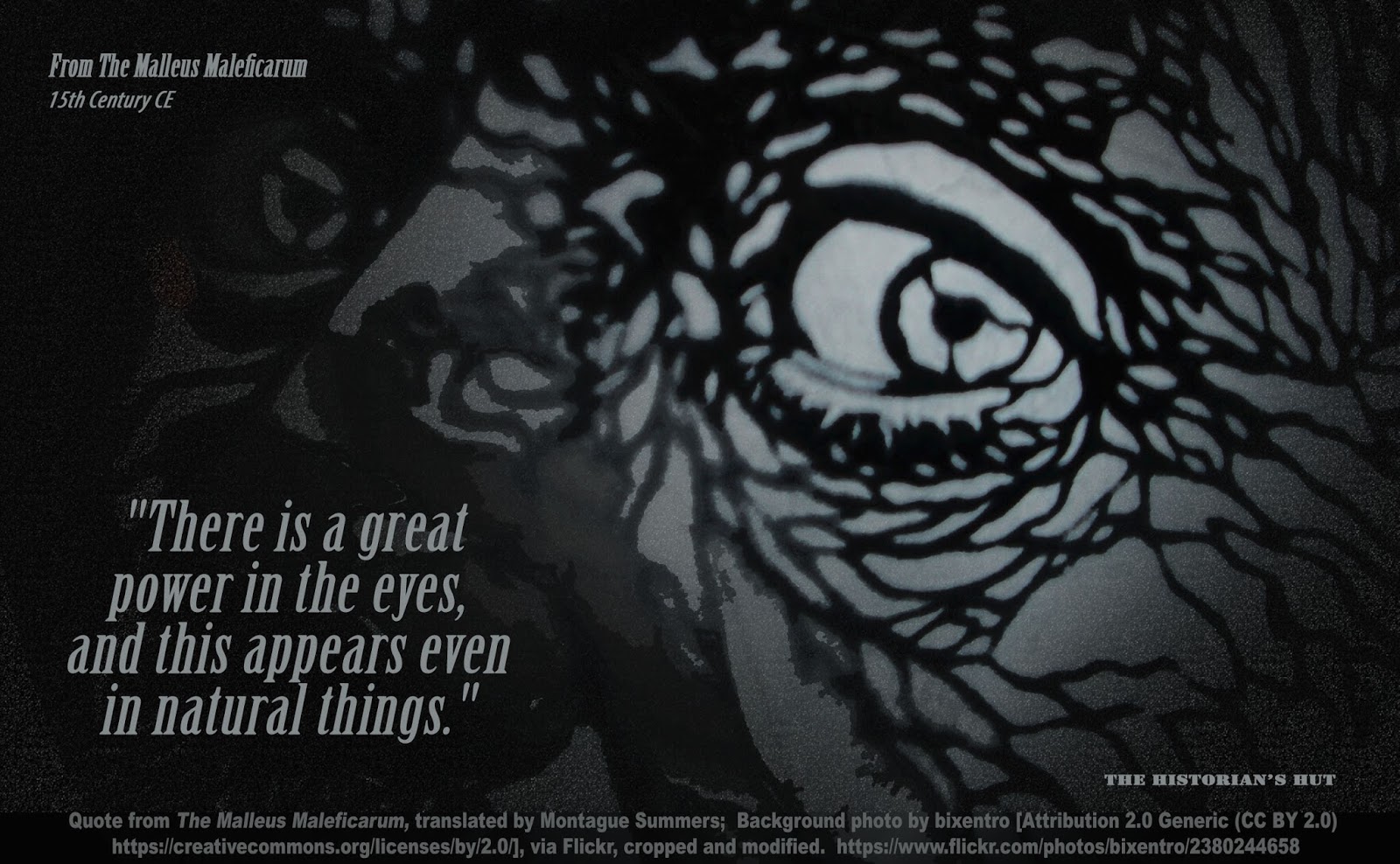 The Historian's Hut Quote Pictures: The Malleus Maleficarum