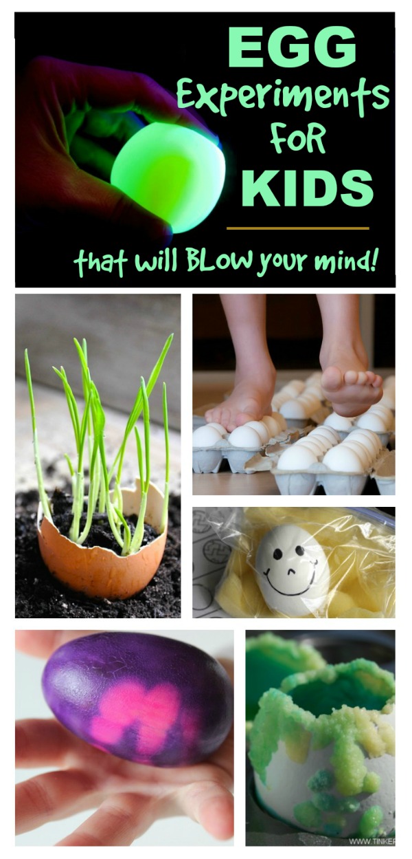 Mind blowing egg experiments for kids- some of these are SO COOL!