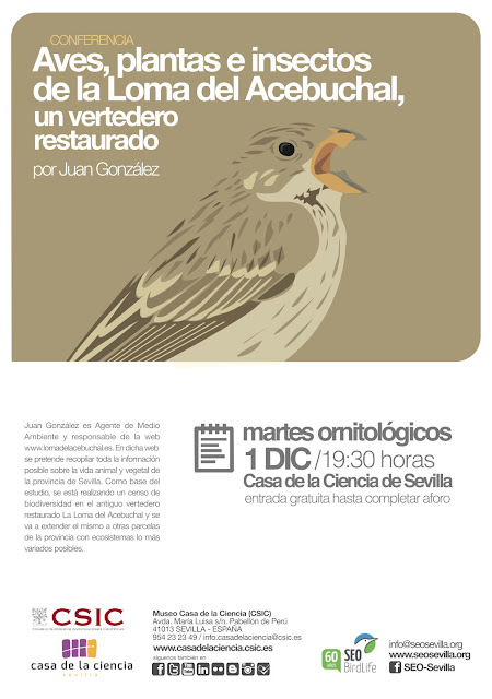 Conferencia ornitológica organizada por el Grupo Local SEO-Sevilla de SEO/BirdLife en el museo Casa de la Ciencia de Sevilla. "Aves, plantas e insectos de la Loma del Acebuchal, un vertedero restaurado", por Juan González.