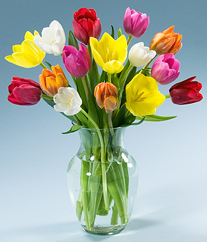 http://4.bp.blogspot.com/-RBBqY72wP8A/TVNGmCGsiJI/AAAAAAAAAGY/Sa8U4bKjxGc/s1600/tulips.jpg
