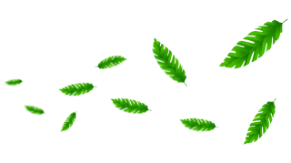Daun Vektor PNG Daun Vektor PNG