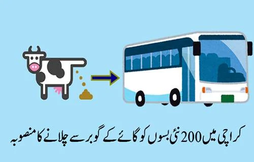 green-buses-karachi