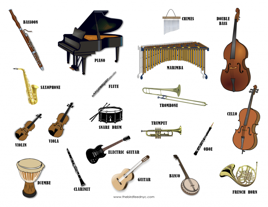Music: Musical instruments and their names