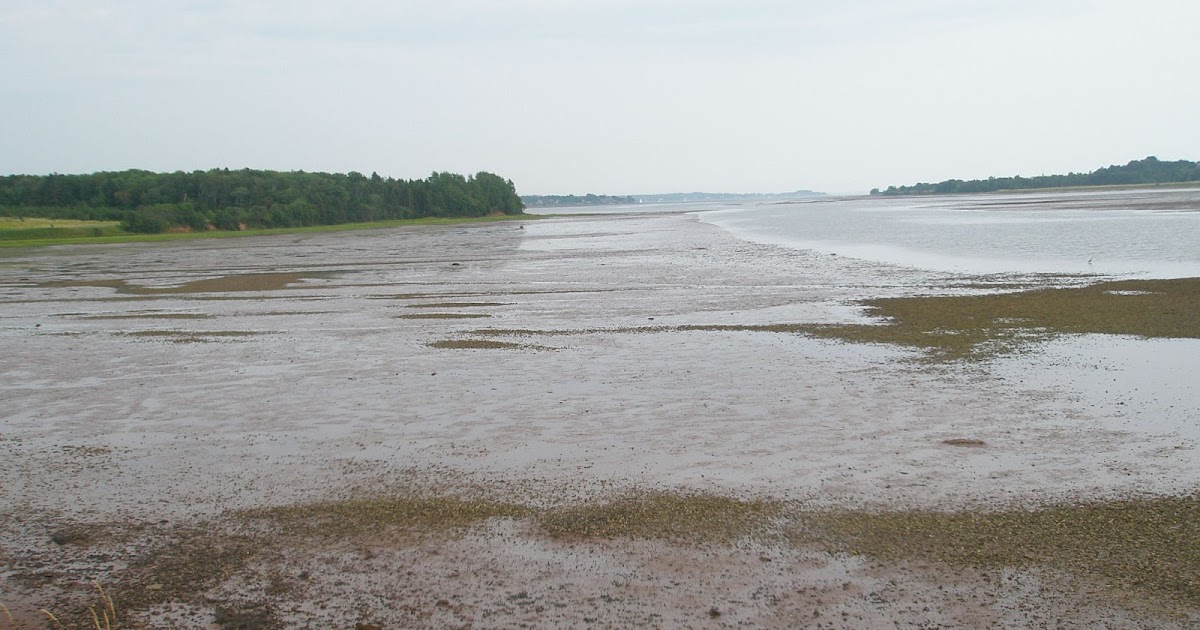 Pedaling PEI Low tide