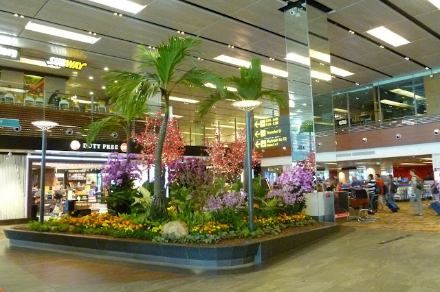 Lotnisko w Singapurze