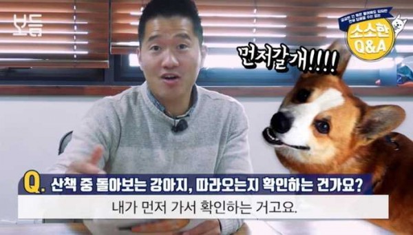 강아지가 먼저가서 뒤돌아보는 이유.jpg | 인스티즈