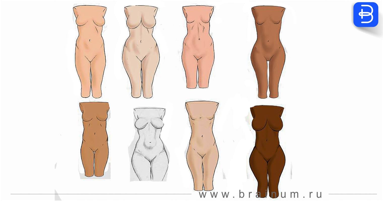 Tipos de cuerpos de mujeres