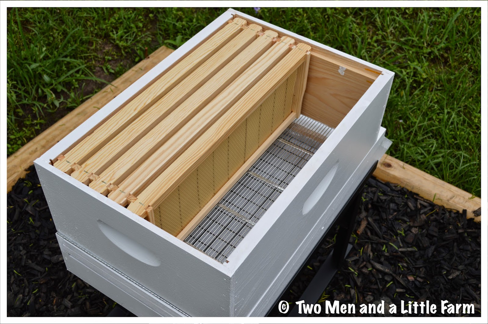 Two Men and a Little Farm HOW TO INSTALL PACKAGE BEES INTO A HIVE