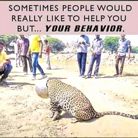 agriculture and farming practices: 20 DIFFERENCES BETWEEN ...