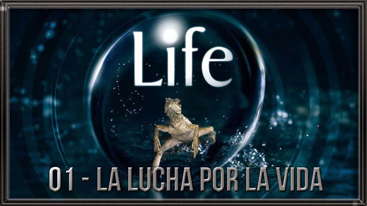  Life 01/10 "La Lucha por la Vida" 720 Latino/Ingl