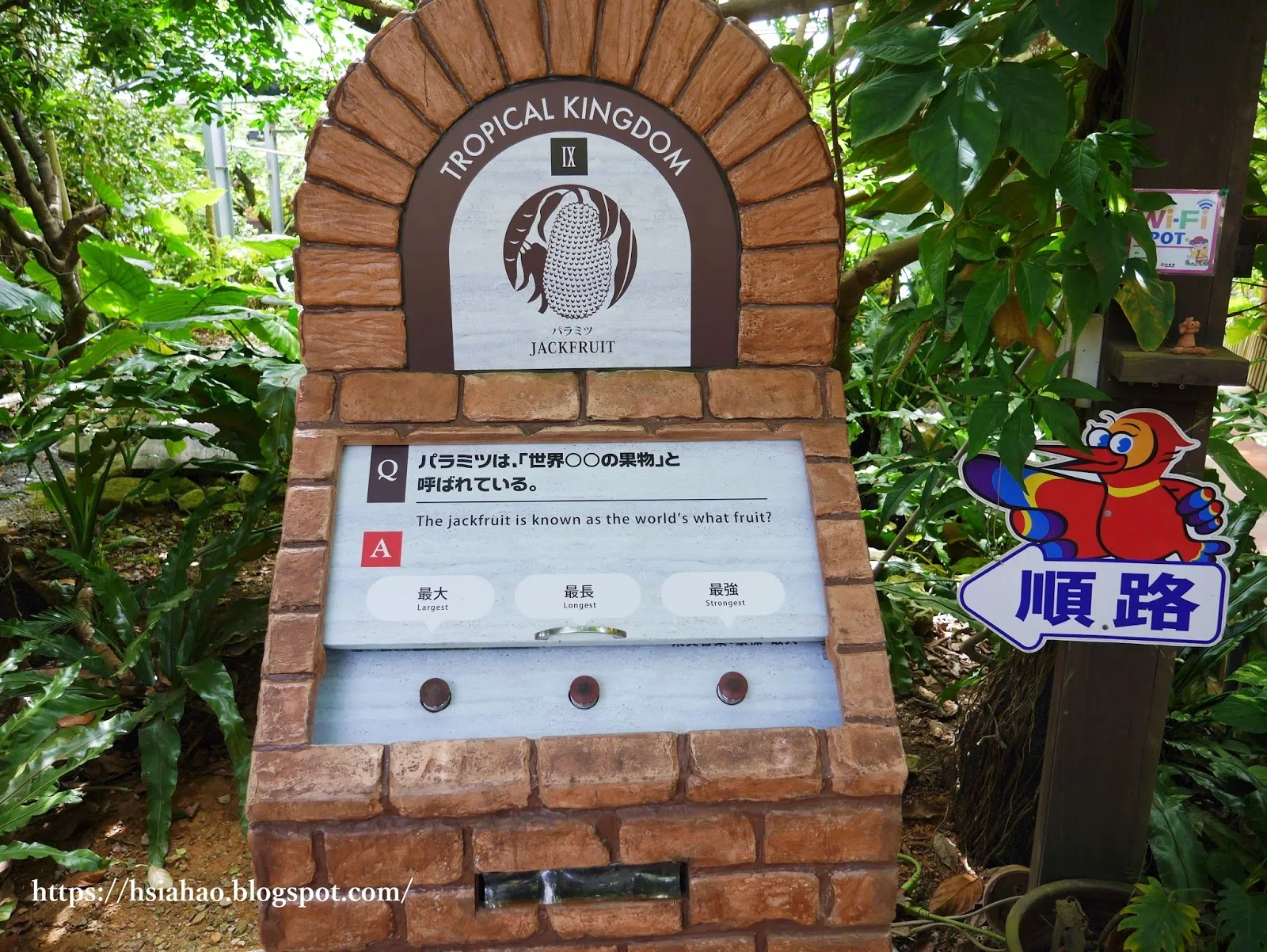 沖繩-景點-名護-沖繩水果樂園-フルーツらんど-fruitland-推薦-親子-自由行-旅遊-Okinawa-Nago