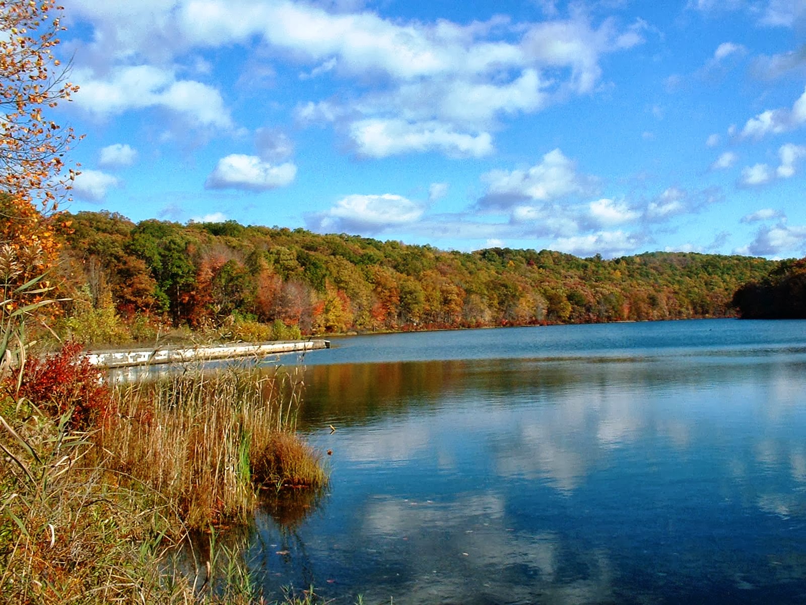 Frank's Place Rocky Glen Park