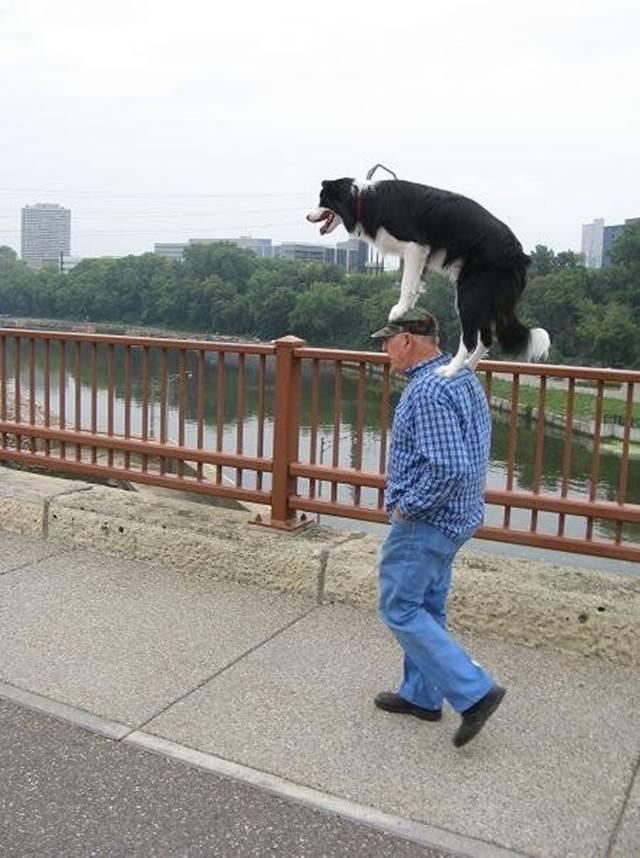 Picdump-Rite-Mail-038.jpg