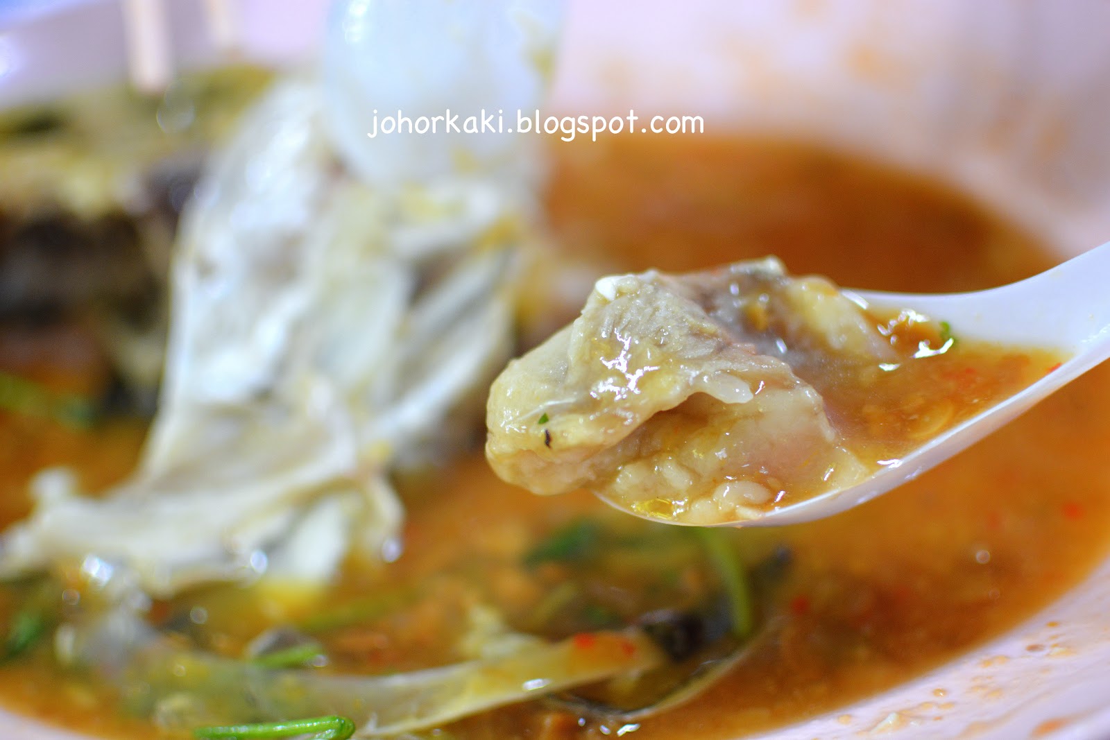 Chinatown Seng Kee 119 Famous Steamed Fish Head Singapore 成记驰名酱蒸松鱼头