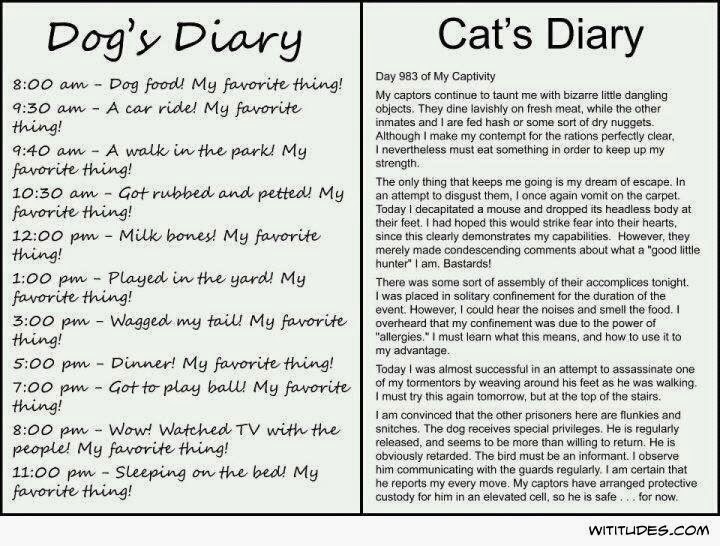 'OZ' The 'Other' Side of the Rainbow Dog Diary VS Cat Diary