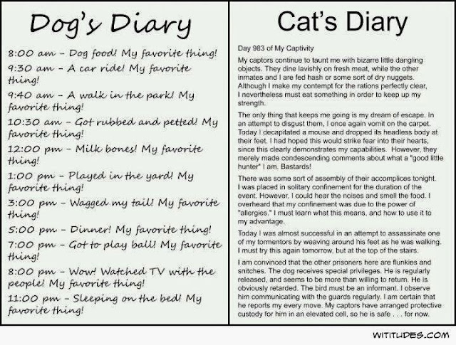 Dog Diary VS Cat Diary