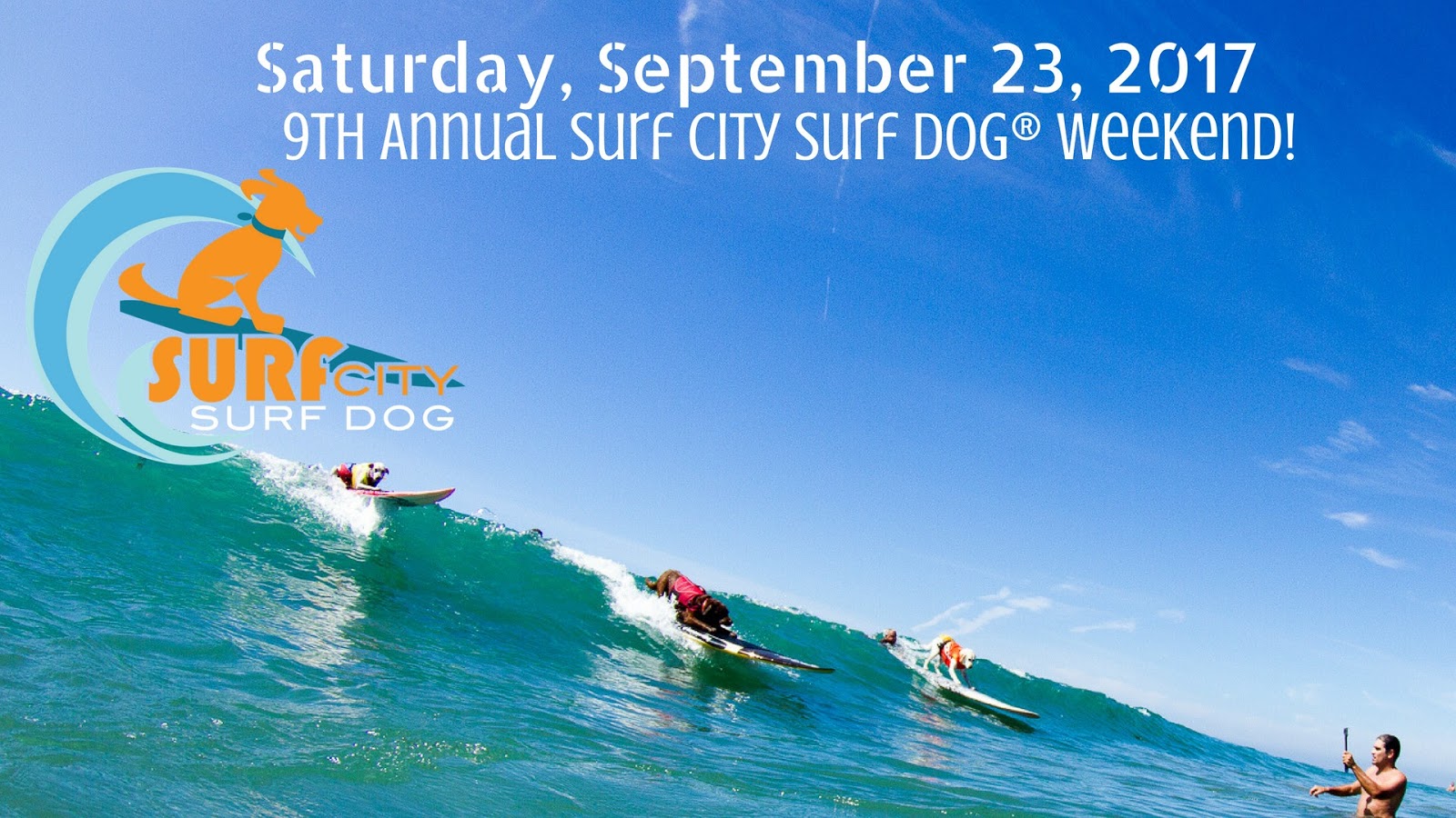 Surf Dog Competition Huntington Beach Huntington Surf Competition