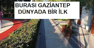 Birinci etabı tamamlanan Fıstık Park alanında dünyada bir ilk
