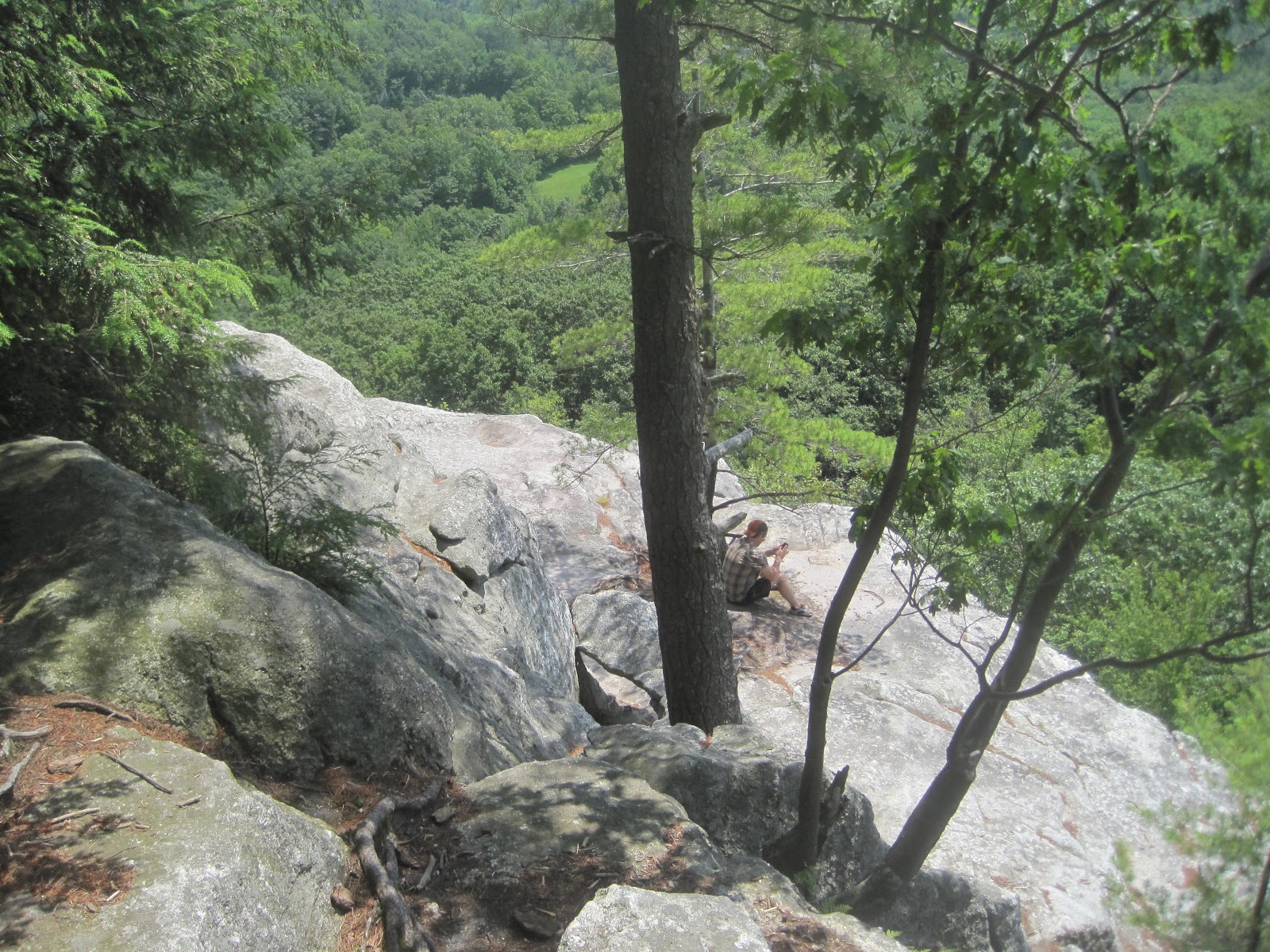 Mt.Tom Billy Goat 2 Chapel Brook Reservation Ashfield Ma. Ashfield