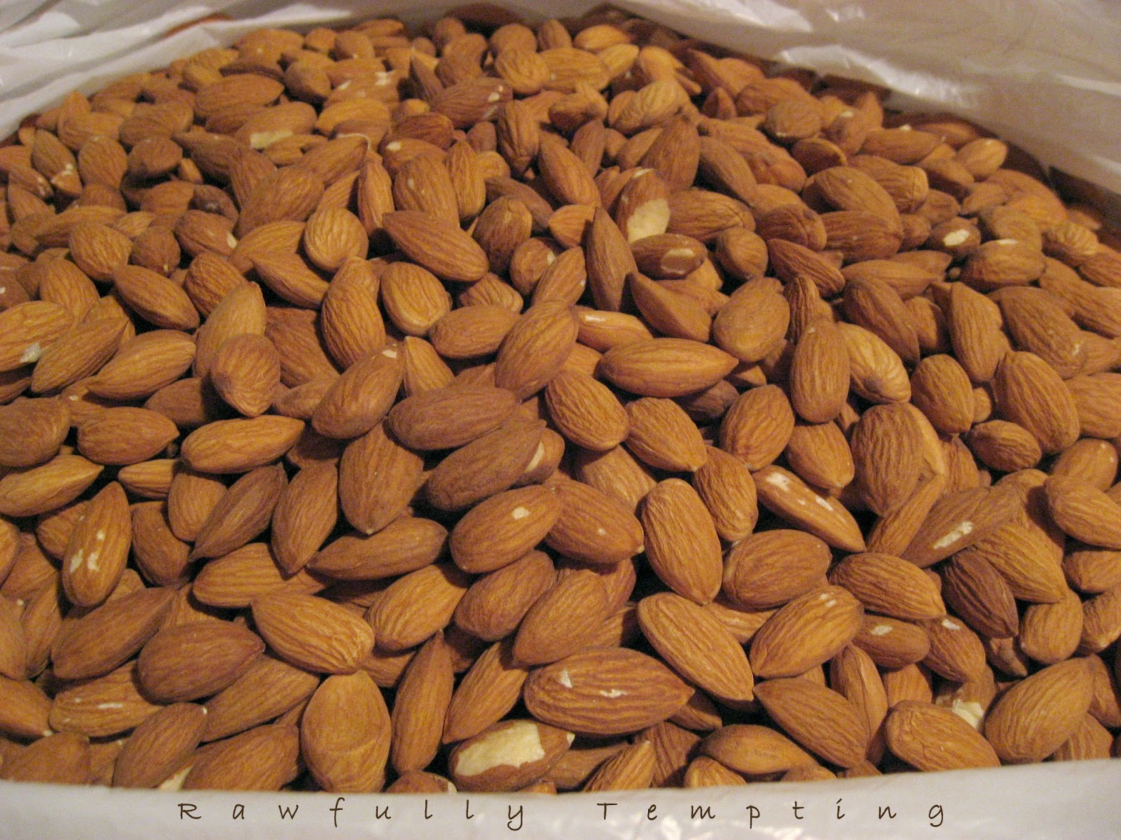 Safe Raw Food Recipes For Cats Safe Raw Food Recipes For Cats