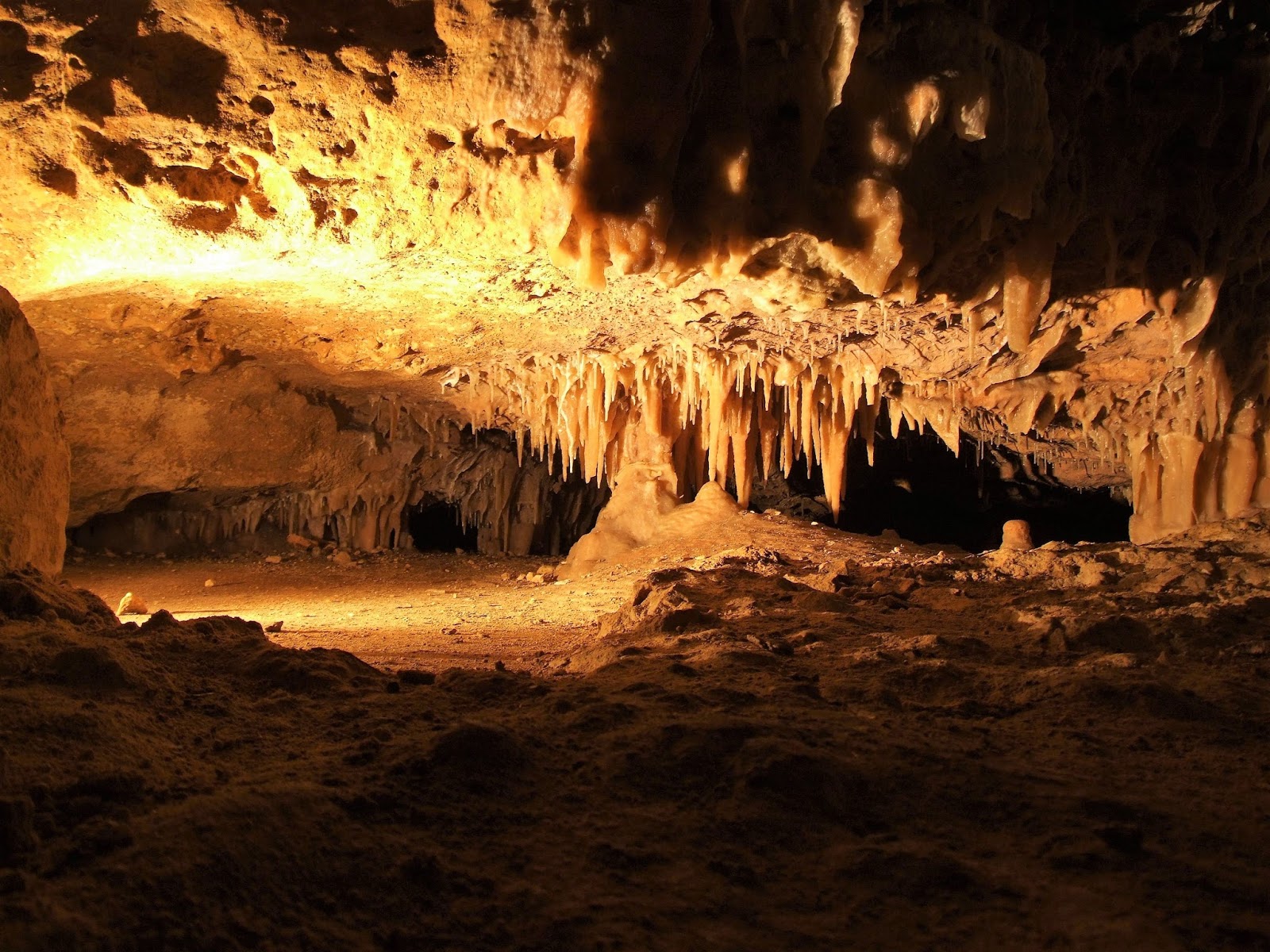 5five5 Australian Fossil Mammal Sites (Riversleigh / Naracoorte