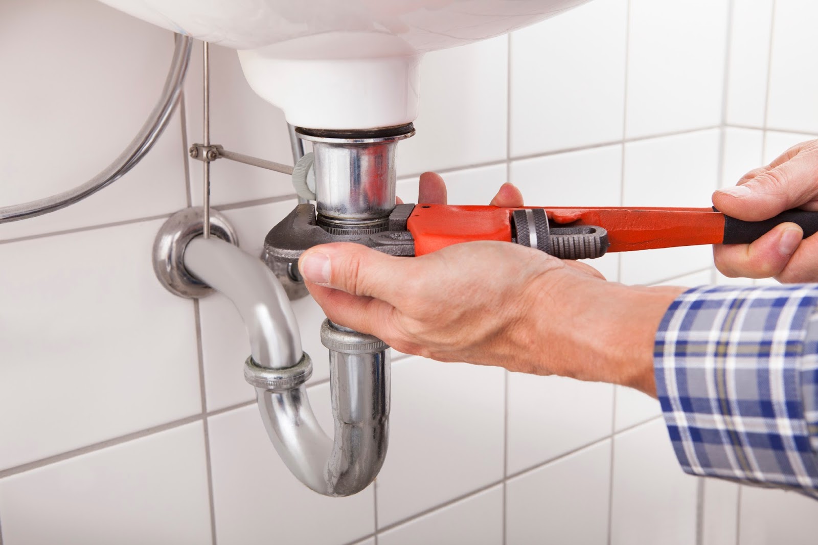 New York Plumbing and Sewer Rooter Plumbing Leaks Cause Pest Infestations
