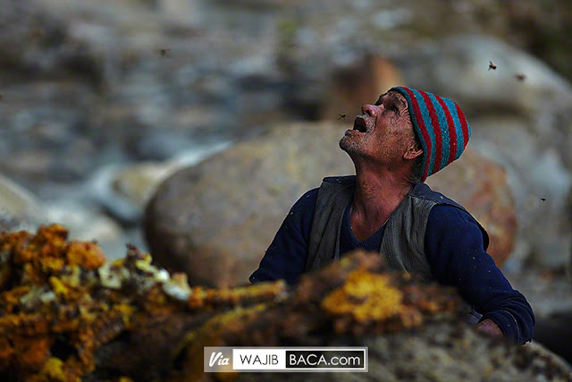 Nepal dan Pemburu Madu Tradisonalnya, Inilah Potret Mengerikan Mereka yang Bikin Kamu Menganga!