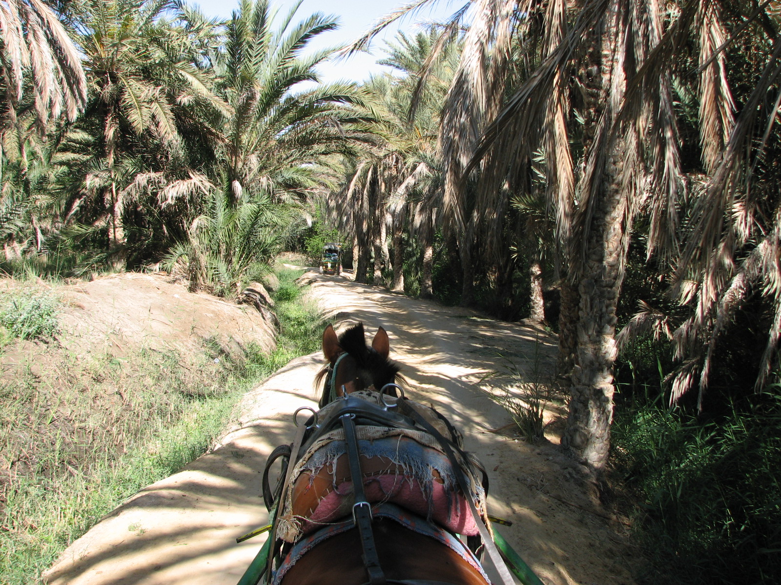 Zigzag de photos Tozeur