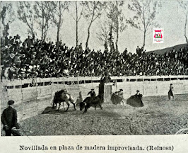 REINOSA CANTABRIA TOROS