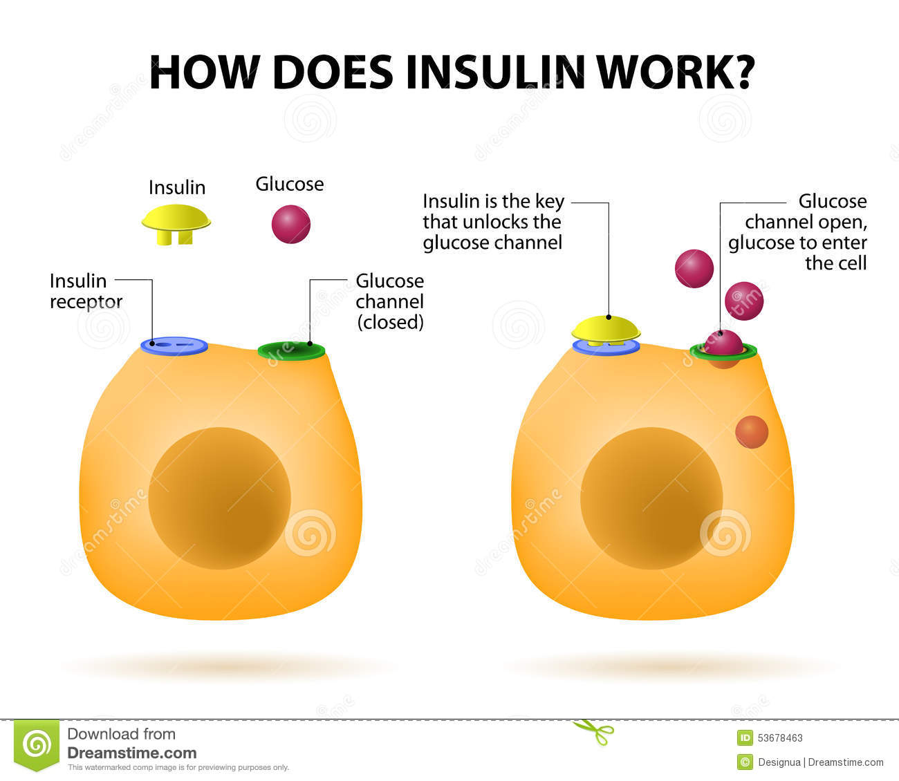 Hoe werkt het, waarom een te