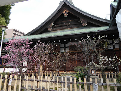 大阪天満宮の梅