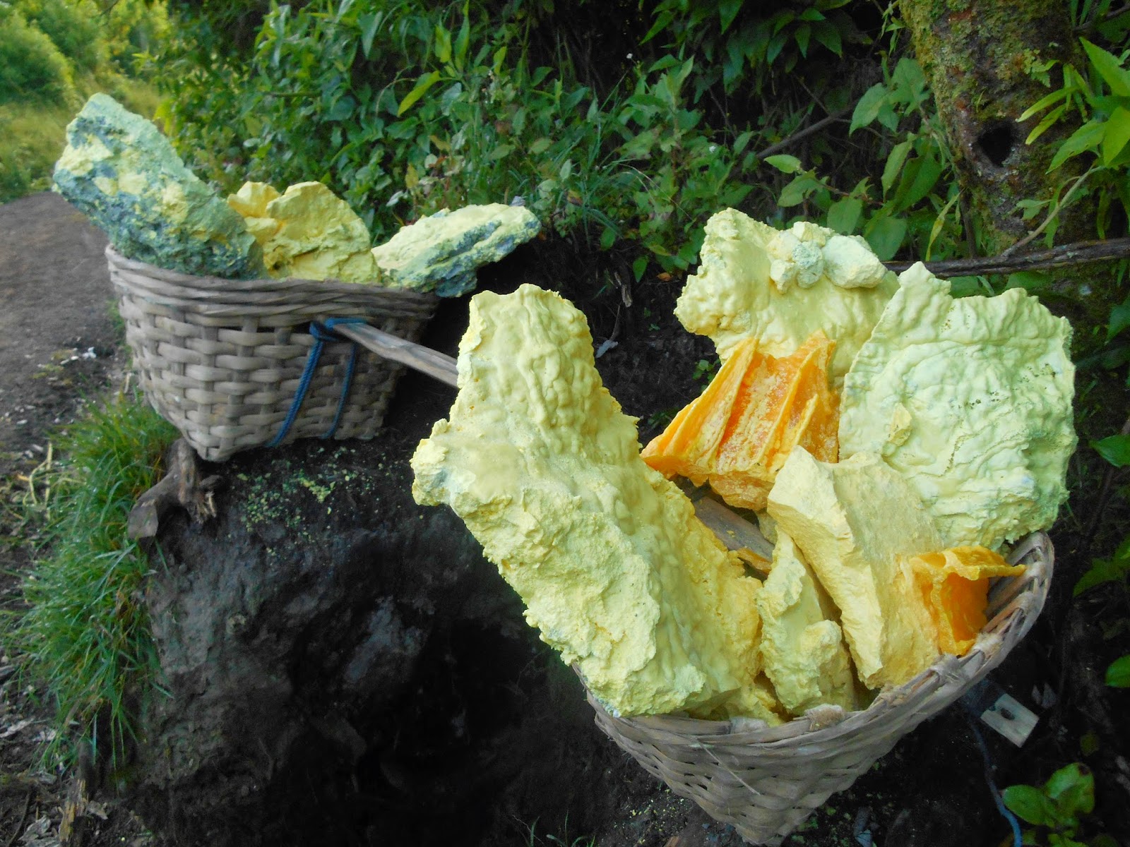 ijen coral sulfur