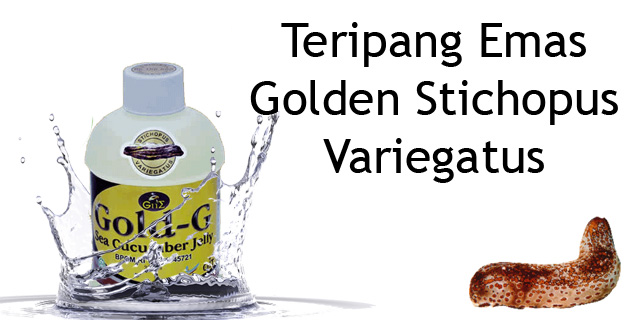 Cara Pengobatan Tradisional  Menyembuhkan Penyakit Rematik Menahun Dengan Pengobat Herbal