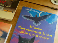 Histoire De La Mouette Et Du Chat