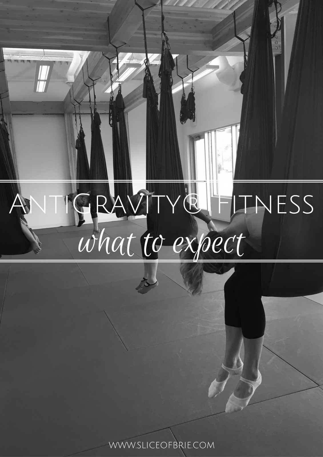 AntiGravity® Fitness What to Expect