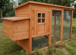 tips for building a chicken coop 2