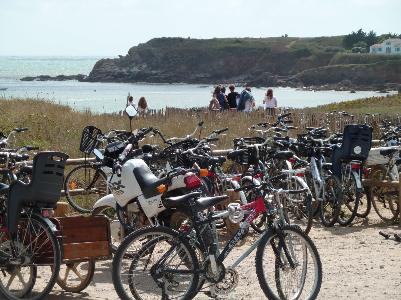 Location Vélo Ile D'yeu Port Joinville