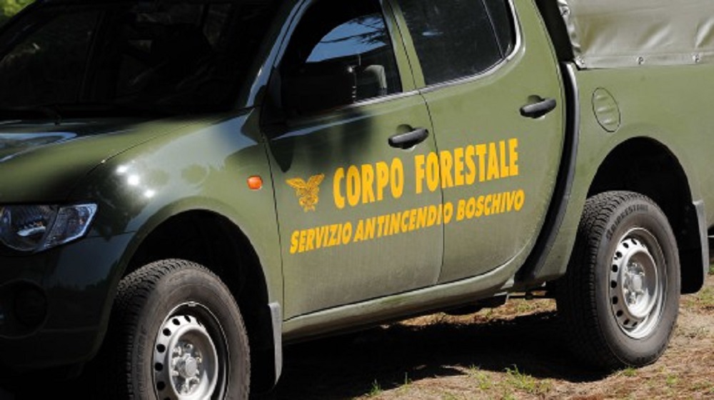 IL BLOG DEI LAVORATORI FORESTALI E DEGLI ADDETTI ALLO SPEGNIMENTO INCENDI DELLA REGIONE