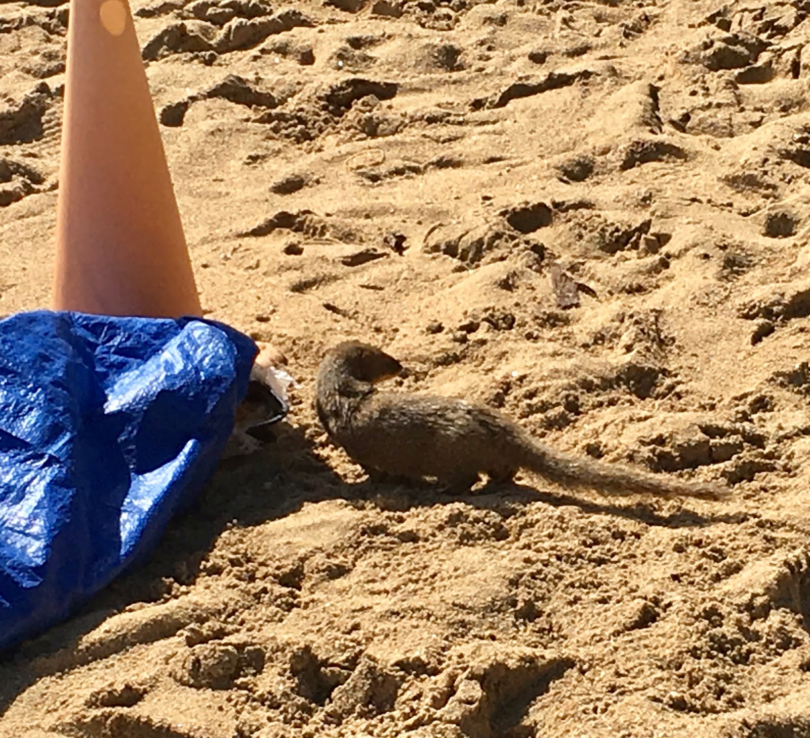 The Hanauma Bay Nature Preserve is no more. to the Hanauma Bay