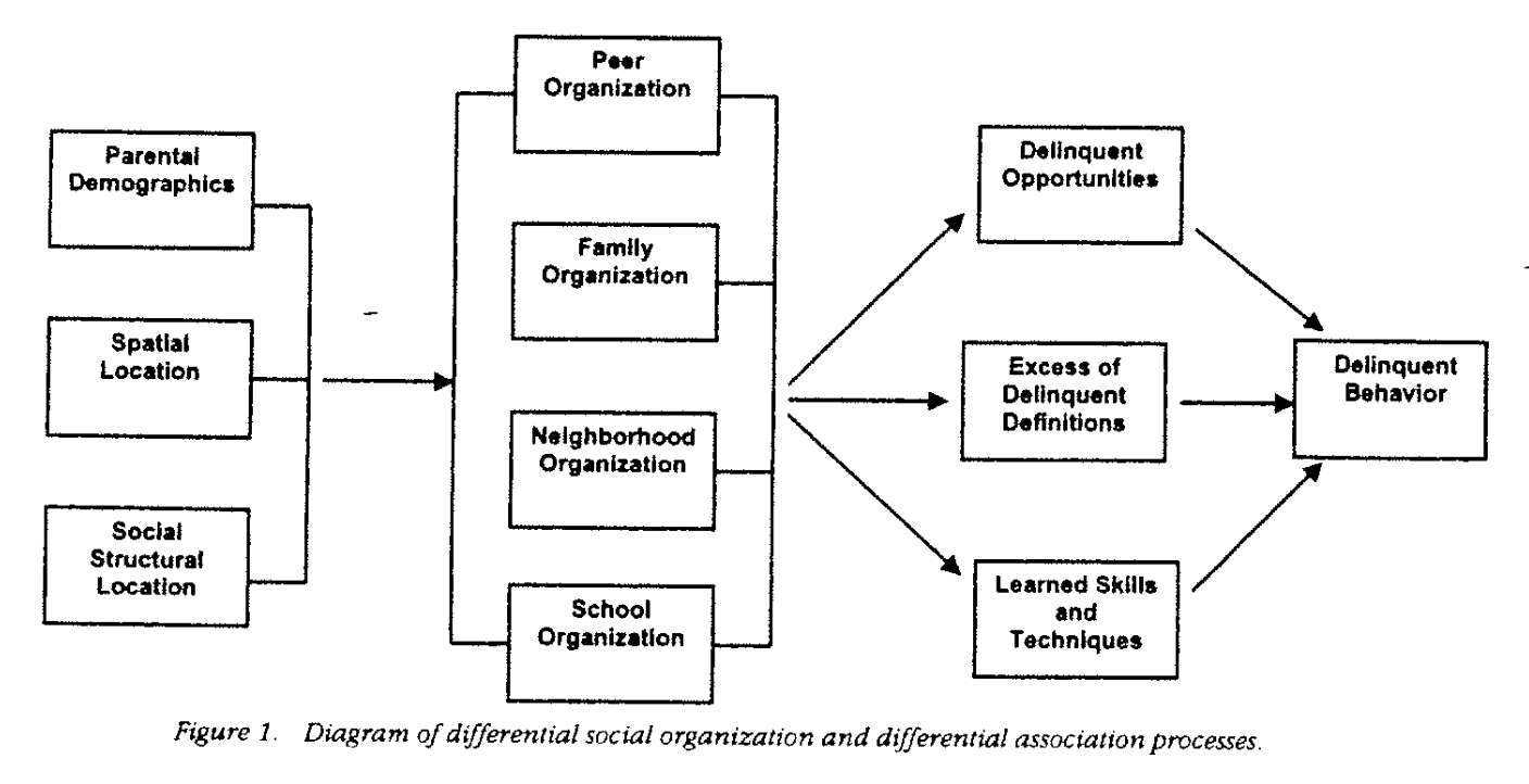 the theory of differential association focuses on differential association theory