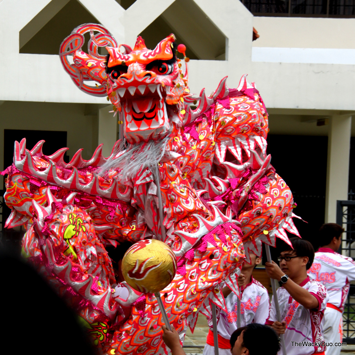 Chinese New Year Lion Dance and Dragon Dance Singapore : Schedules