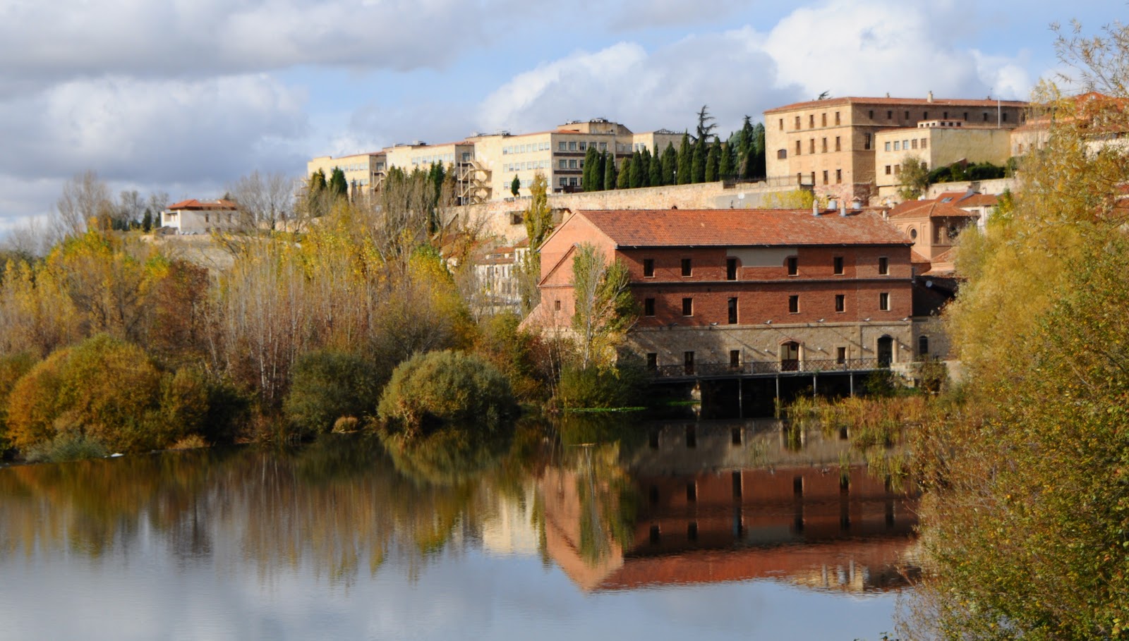 EL BLOG DE SALAMANCA MUSEO EN LA ANTIGUA FÁBRICA DE HARINAS