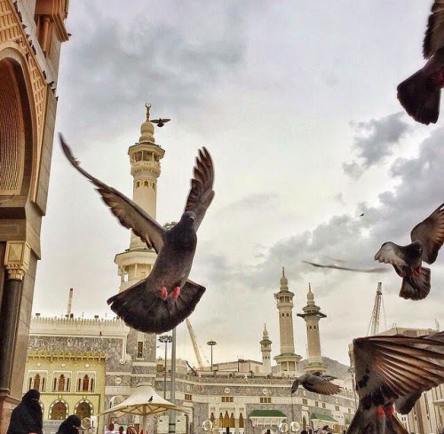 ramadan kareem dp