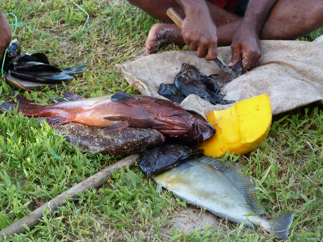 Locals spear fishing in Fiji.