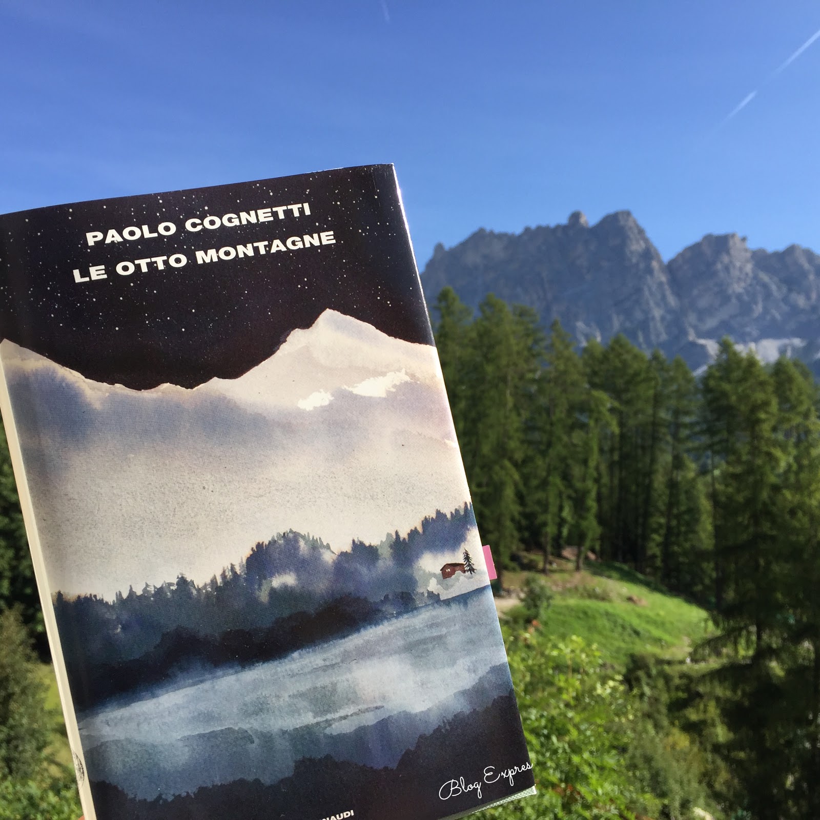Le Otto Montagne di Paolo Cognetti The Writers Mountain Hut