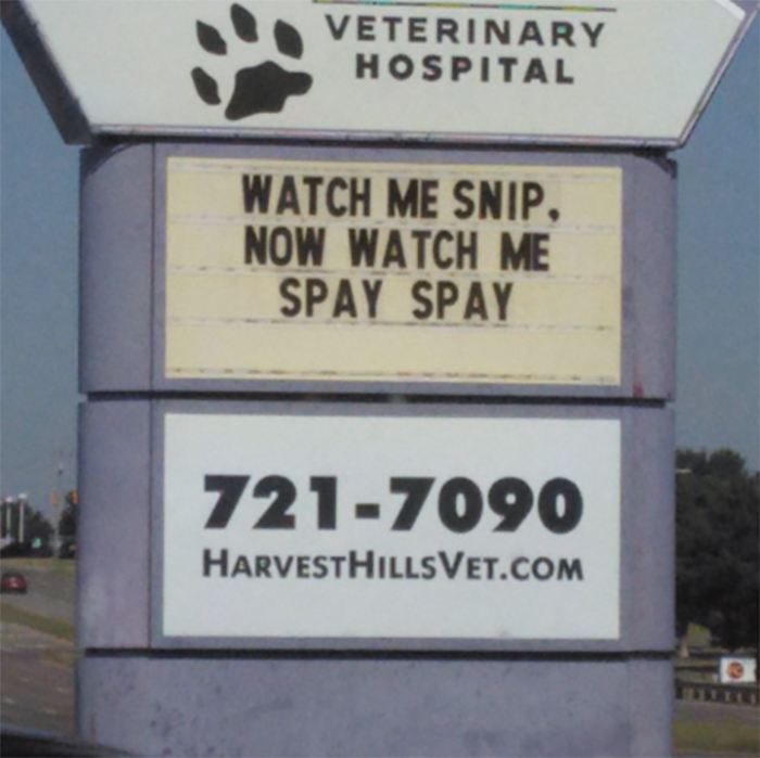 30 Hilarious Cat Jokes Vet Clinics Put Up On Their Signs